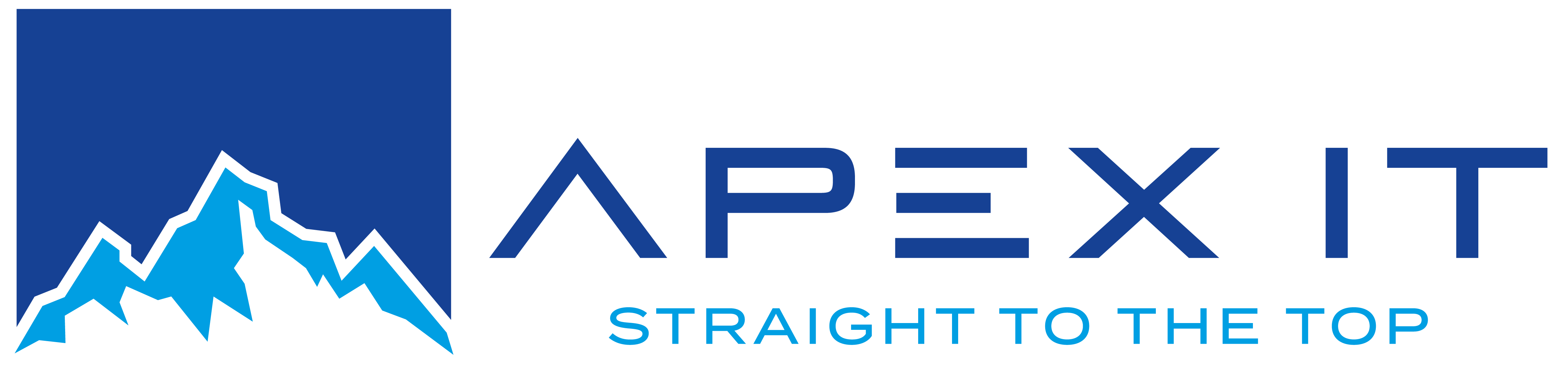 Apex IT AG